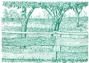 GL1-162.jpg