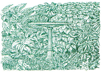 GL1-222.jpg