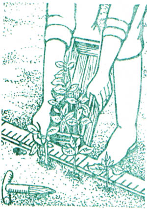 GL1-72.jpg