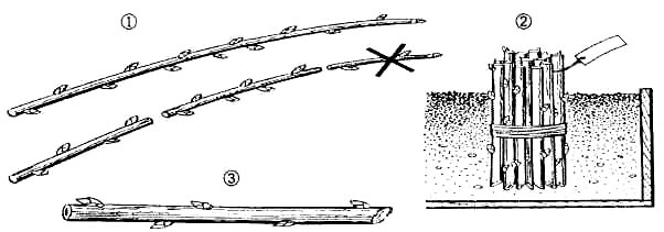 GL1-74.jpg