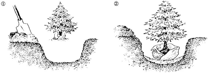 GL1-97.jpg