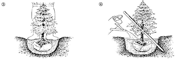 GL1-98.jpg