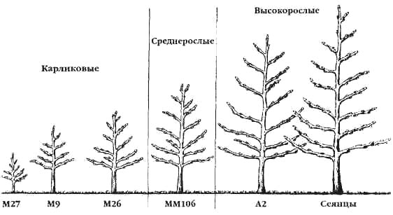 GL2-13.jpg