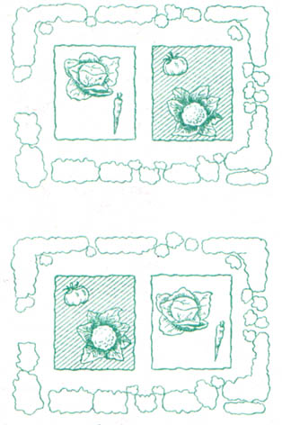 GL3-35.jpg