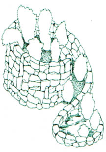 GL4-23.jpg