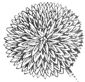 GL5-43.jpg